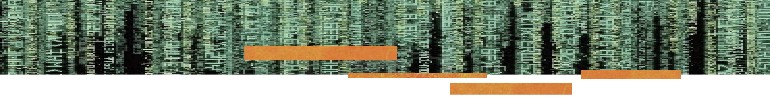 Welcome to our site